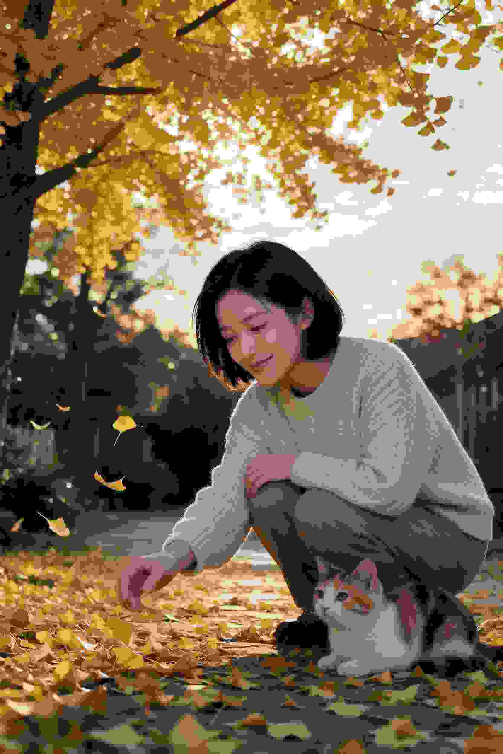 全职高手